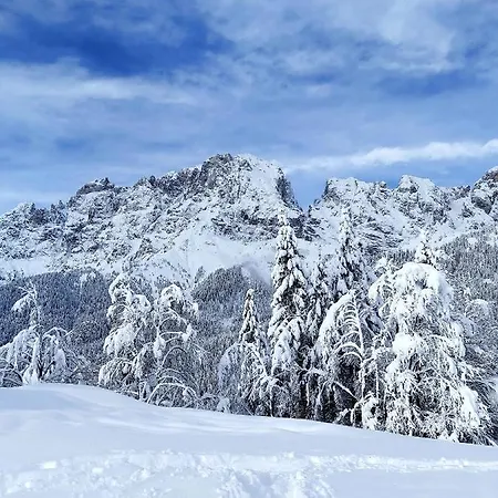 Haus Gobbis Transformational Retreat In The Dolomites 펜션